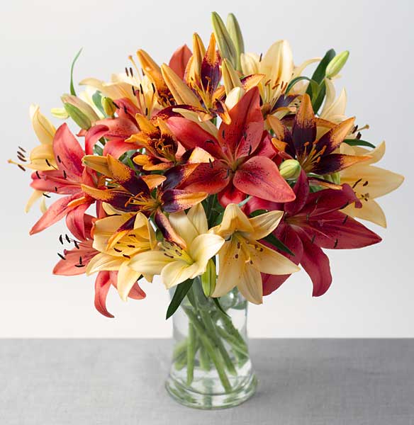 Autumn Lilies - Only &pound;20.69