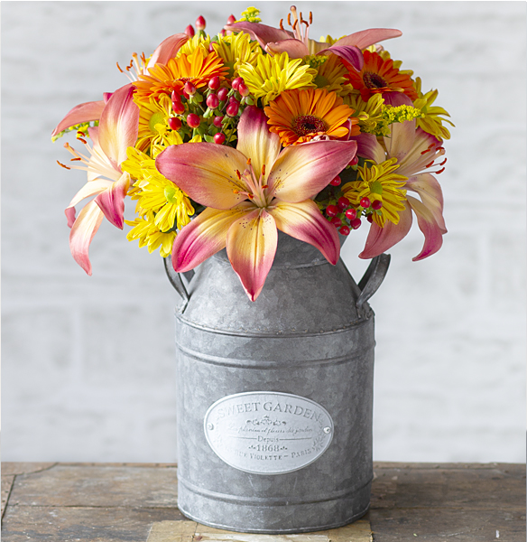 Golden Embers - Only &pound;21.59