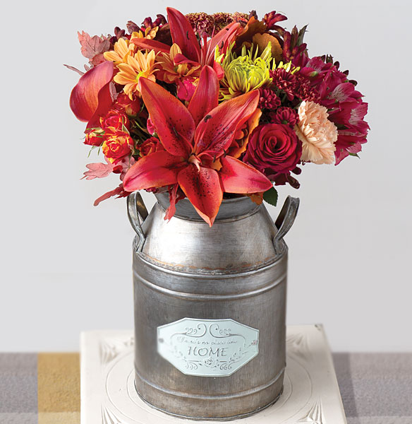 Maple Wonder - Only &pound;25.19