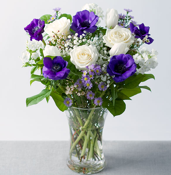Serenity &pound;32.99