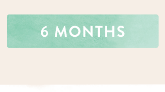 Download 6 month gift certificate