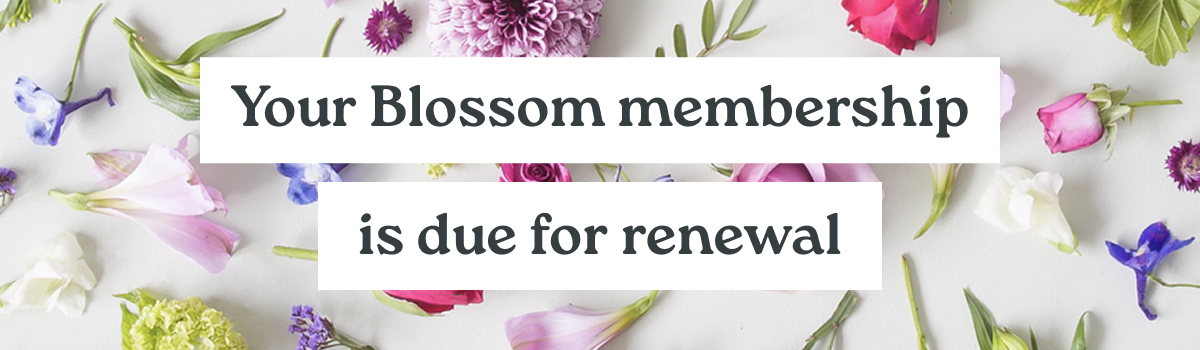 Your Blossom membership year in review