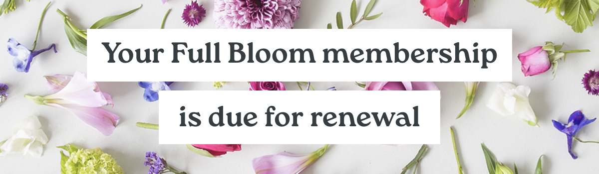 Your Blossom membership year in review