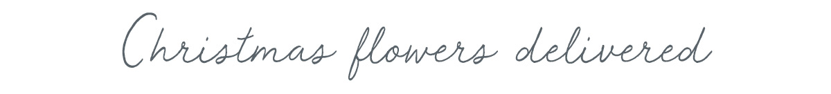 Christmas flowers delivered