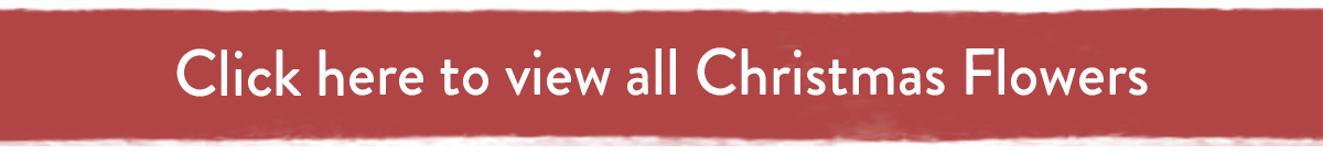 Click here to view all Christmas flowers
