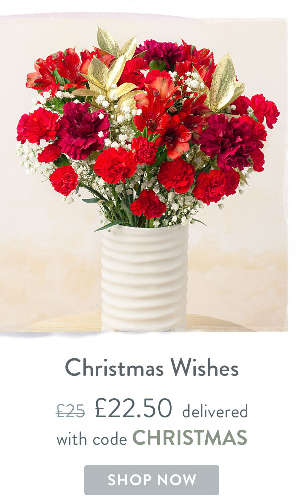 Christmas Wishes - Only &pound;22.50 delivered with code