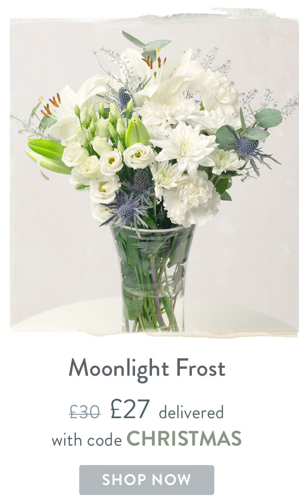 Moonlight Frost - Only &pound;27 delivered with code