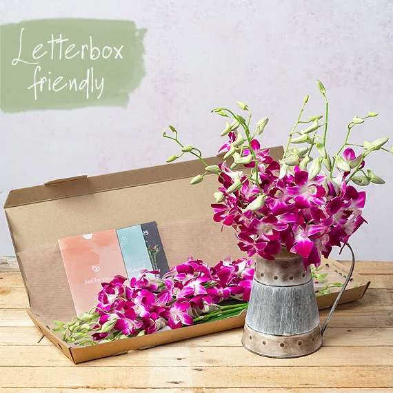 Letterbox Flowers